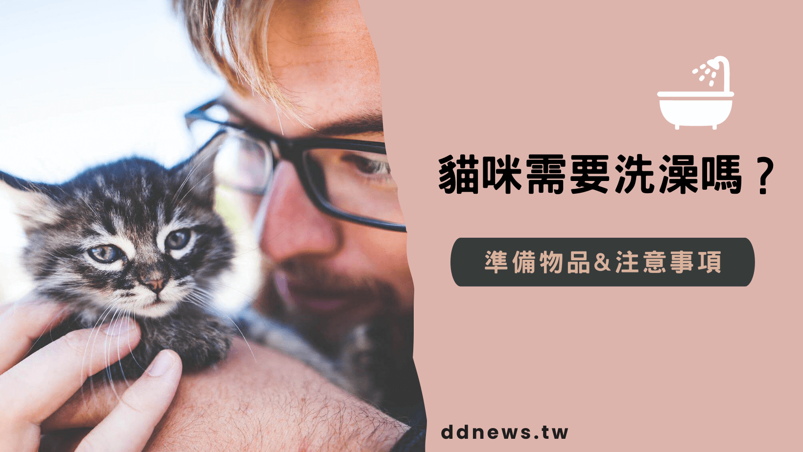 寵物日常 貓咪需要洗澡嗎?