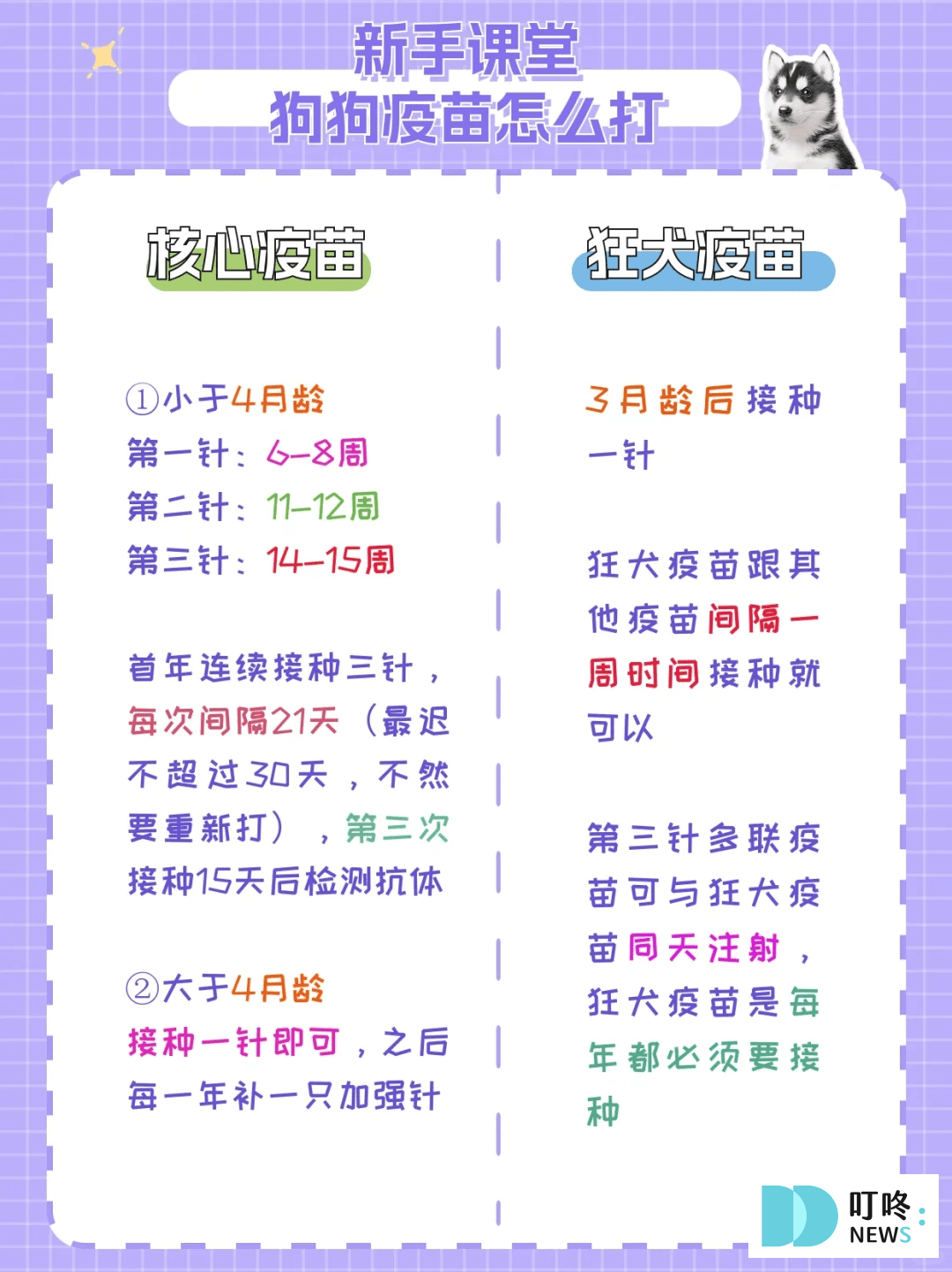 叮咚News｜分享新奇與樂趣