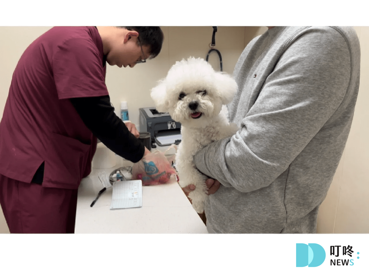 叮咚News｜分享新奇與樂趣