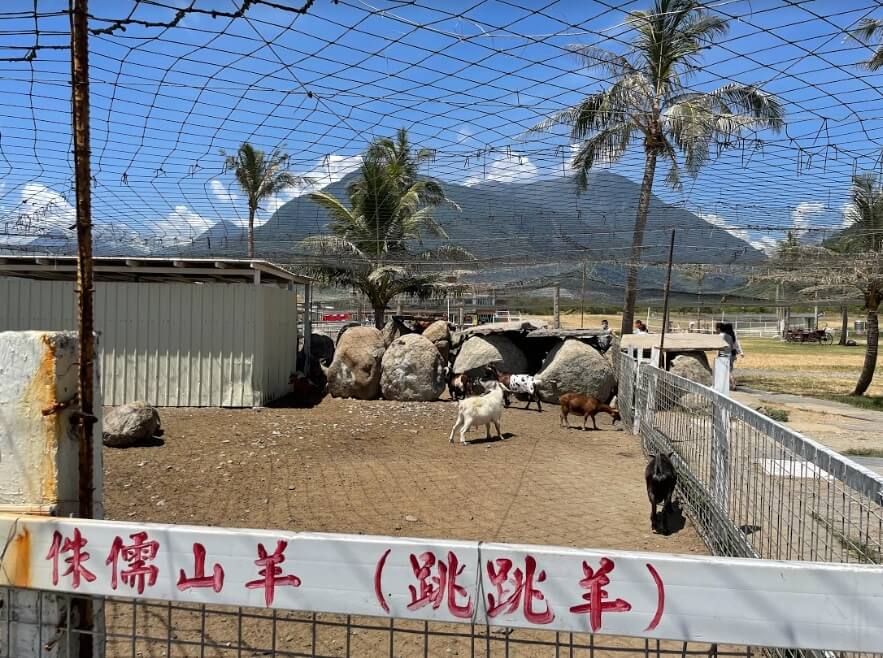 【花蓮兩天一夜】包山包海攻略大公開!台版紐西蘭餵動物、超人氣吊橋高空賞峽谷美景 叮咚News|分享新奇與樂趣