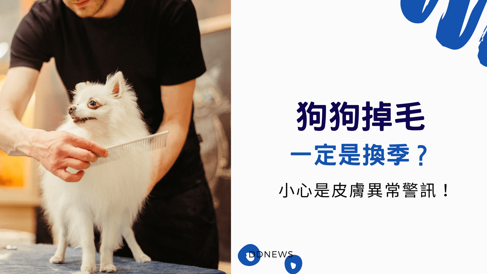 寵物日常 狗狗掉毛
