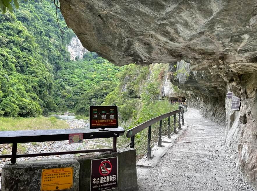 【花蓮兩天一夜】包山包海攻略大公開!台版紐西蘭餵動物、超人氣吊橋高空賞峽谷美景 叮咚News|分享新奇與樂趣