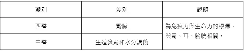 叮咚News｜分享新奇與樂趣