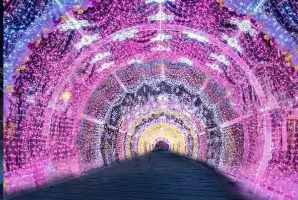 【2022新北耶誕城】11/11熱鬧登場,打造童話國度「雪白之城」,六大主題驚喜曝光! 新站路天橋「夢幻光廊」