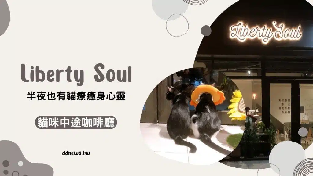 台中太平 ｜Liberty Soul 營業到深夜的「貓咪中途咖啡廳」，讓貓療癒你身心靈
