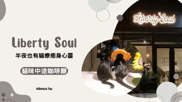 台中太平 ｜Liberty Soul 營業到深夜的「貓咪中途咖啡廳」，讓貓療癒你身心靈