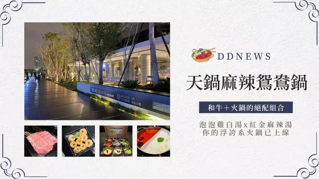 高雄火鍋精選推薦|8間約會聚餐必訪口袋名單!不藏私一次看 高雄火鍋精選推薦|「天鍋」必點 泡泡雞白湯x紅金麻辣鴛鴦鍋