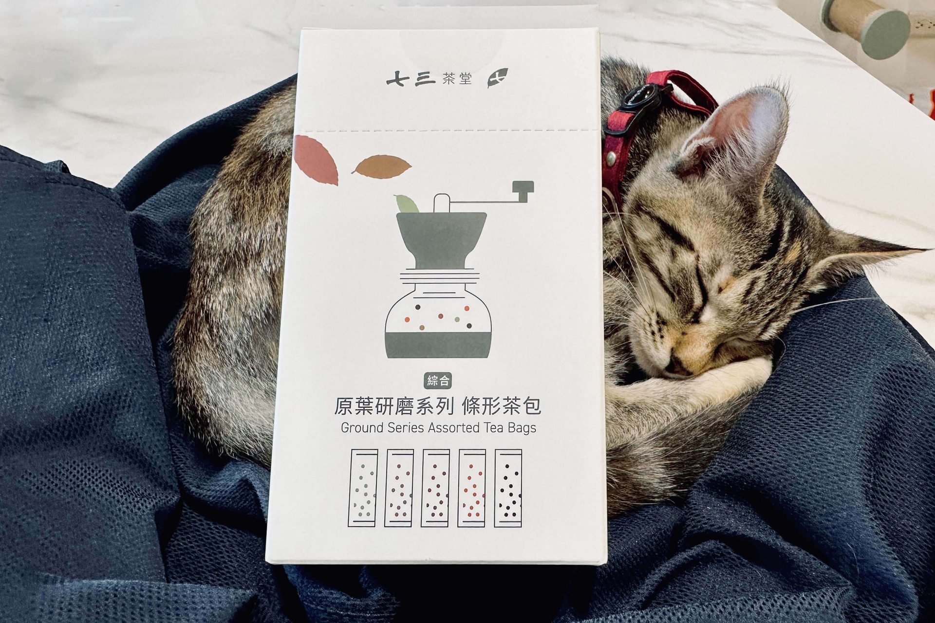 【開箱分享】七三茶堂 原葉研磨條形茶包|顛覆傳統新風味,研磨冷泡茶香更濃 【開箱分享】七三茶堂 原葉研磨條形茶包|顛覆傳統新風味,研磨冷泡茶香更濃