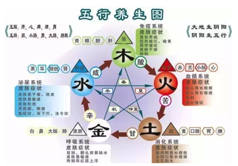 中醫養生保健|五行經絡結合十二時辰,身體排毒這樣做! 五行經絡養生圖