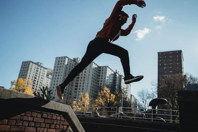 貓奴快看!「貓跳台」該如何挑選?快速掌握這3大重點!保證讓牠更愛你 貓跳台推薦