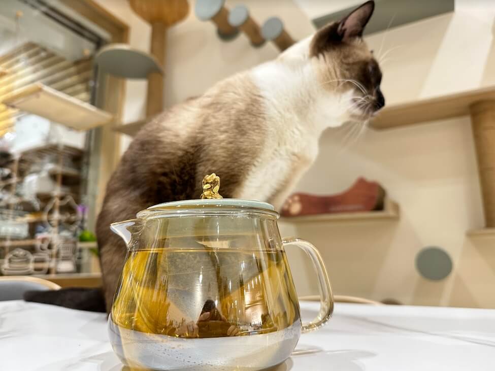 【開箱分享】日暮禾茶綜合品茶組|睡前也能喝的「無咖啡因」花草茶! 日暮禾茶 |綜合品茶組 風味介紹-6