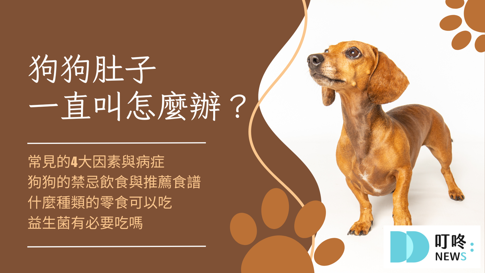 狗狗肚子一直叫怎麼辦？很可能是這4大因素所造成！釐清狗狗肚子的所有問題，必看狗狗營養保健總整理狗狗零食推薦