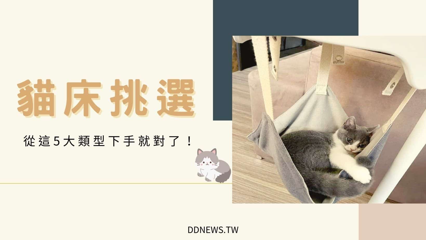 寵物日常 貓床