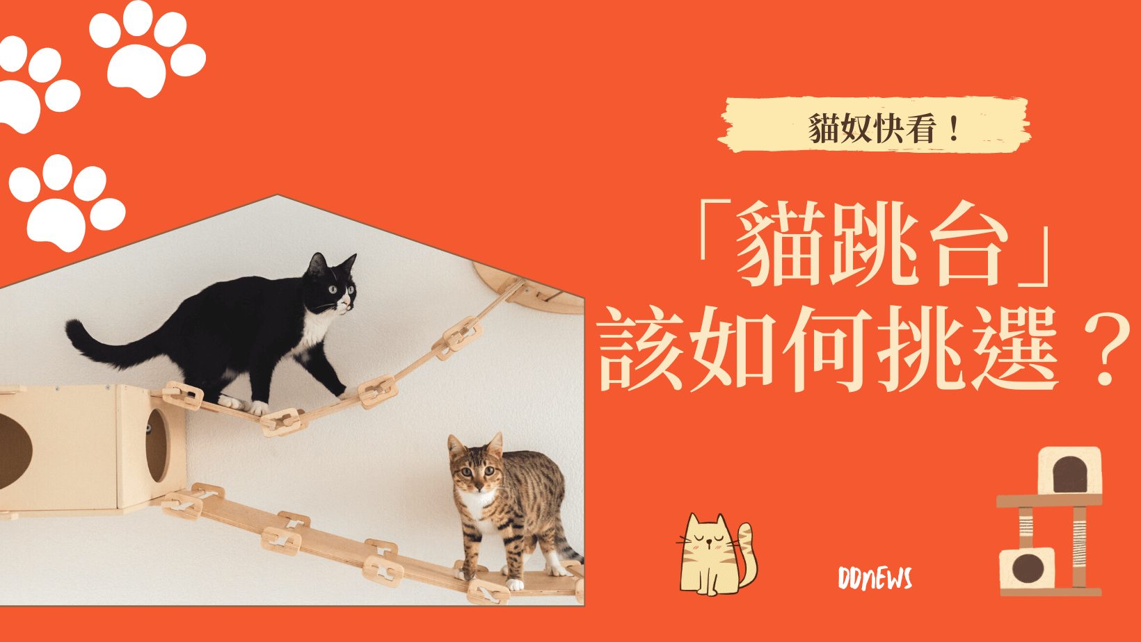 寵物日常 貓跳台推薦
