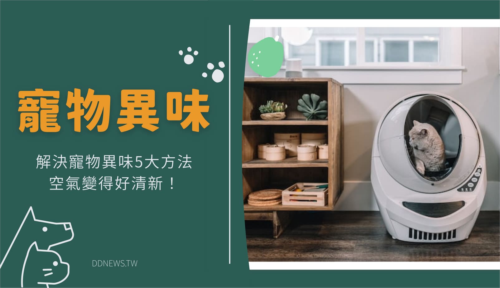 寵物異味