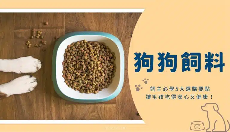 如何挑選狗飼料？飼主必學5大選購要點，讓毛孩吃得安心又健康！