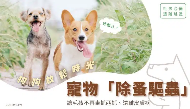 寵物「除蚤驅蟲」好幫手！讓毛孩不再東抓西抓、遠離皮膚病