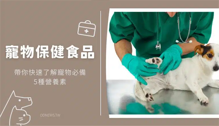 寵物保健食品怎麼挑選？帶你快速了解寵物必備的5種營養素