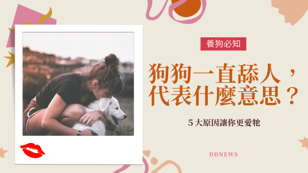 狗狗一直舔人有代表什麼意思嗎？５大原因讓你更愛牠