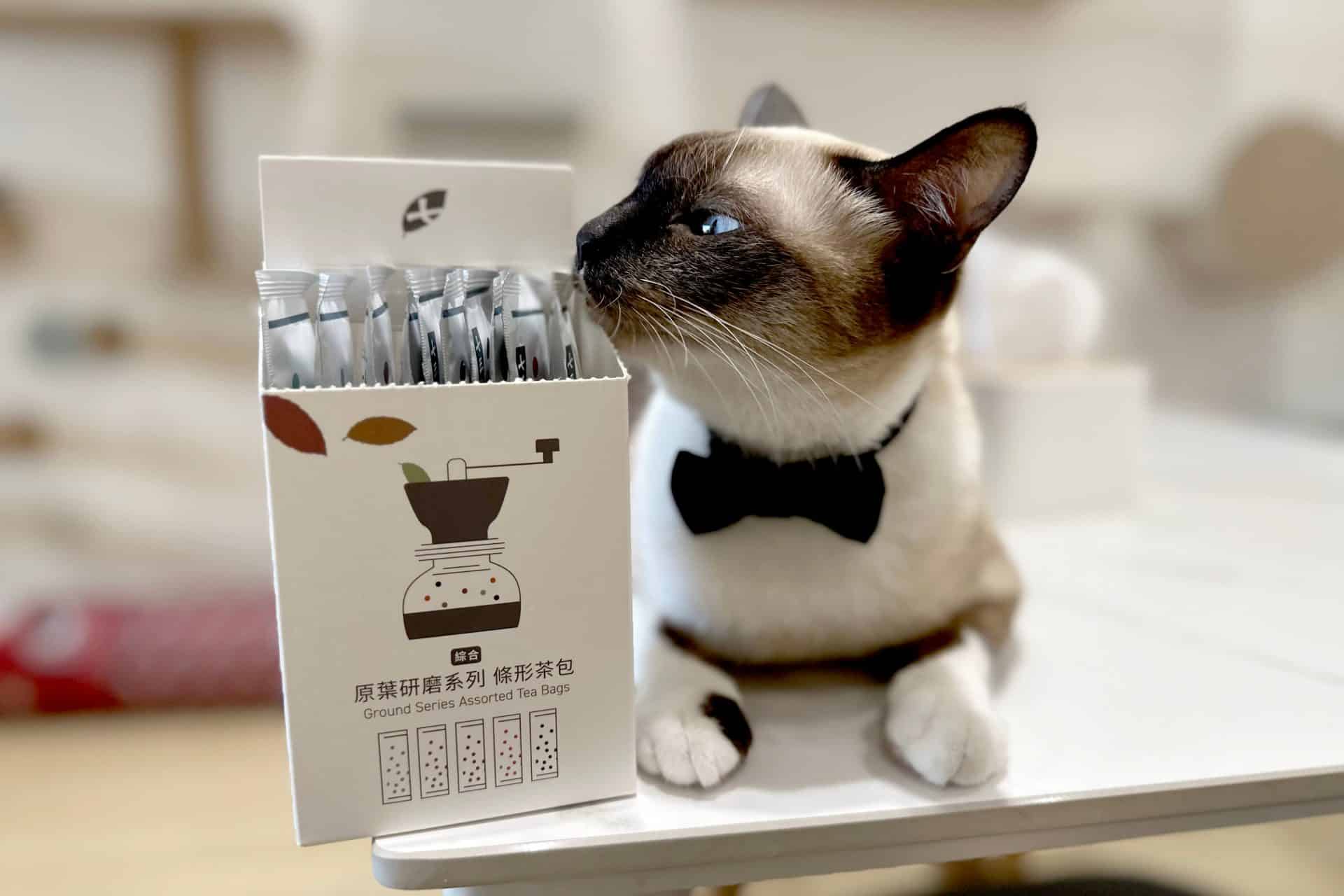 【開箱分享】七三茶堂 原葉研磨條形茶包｜顛覆傳統新風味，研磨冷泡茶香更濃