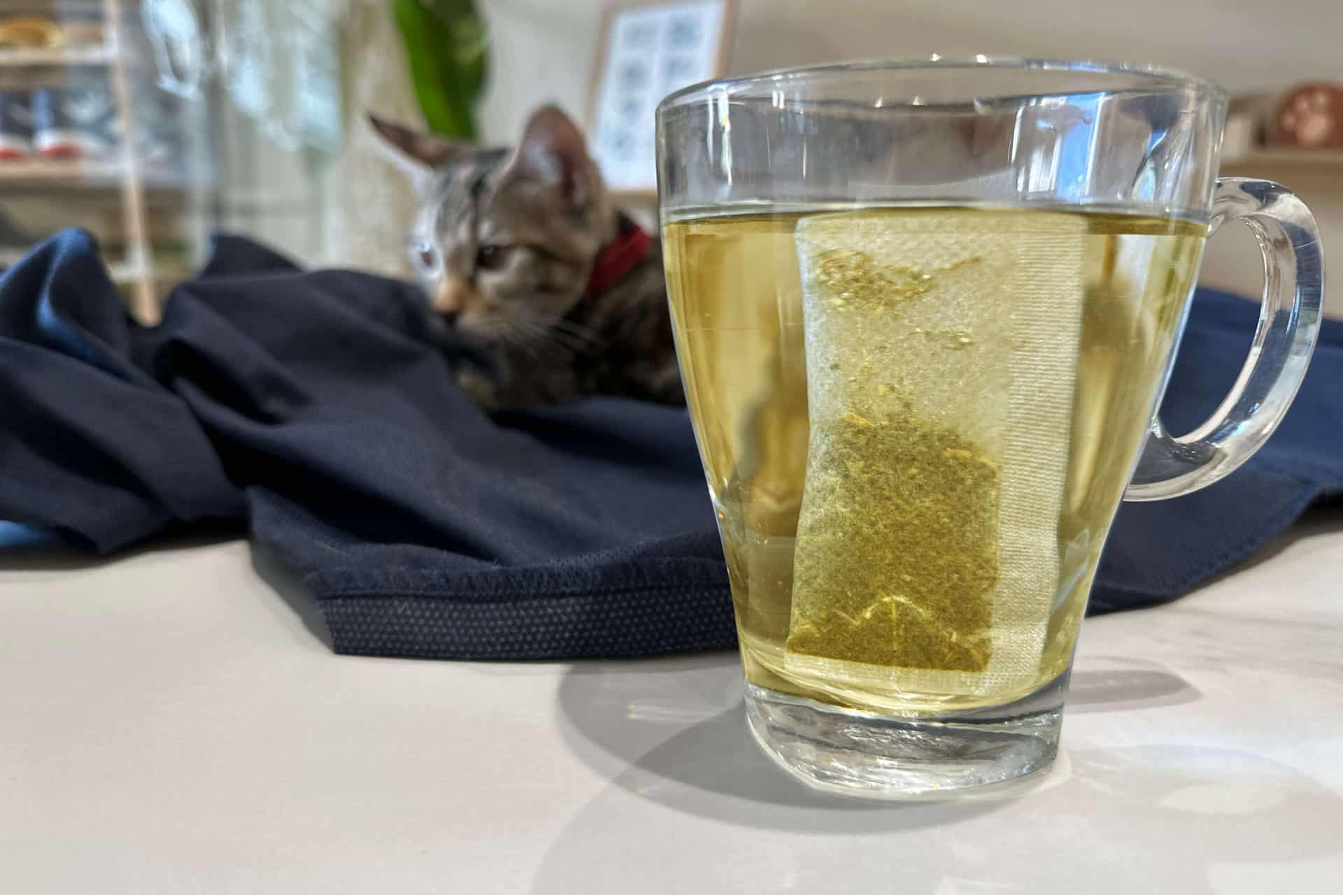 【開箱分享】七三茶堂 原葉研磨條形茶包｜顛覆傳統新風味，研磨冷泡茶香更濃