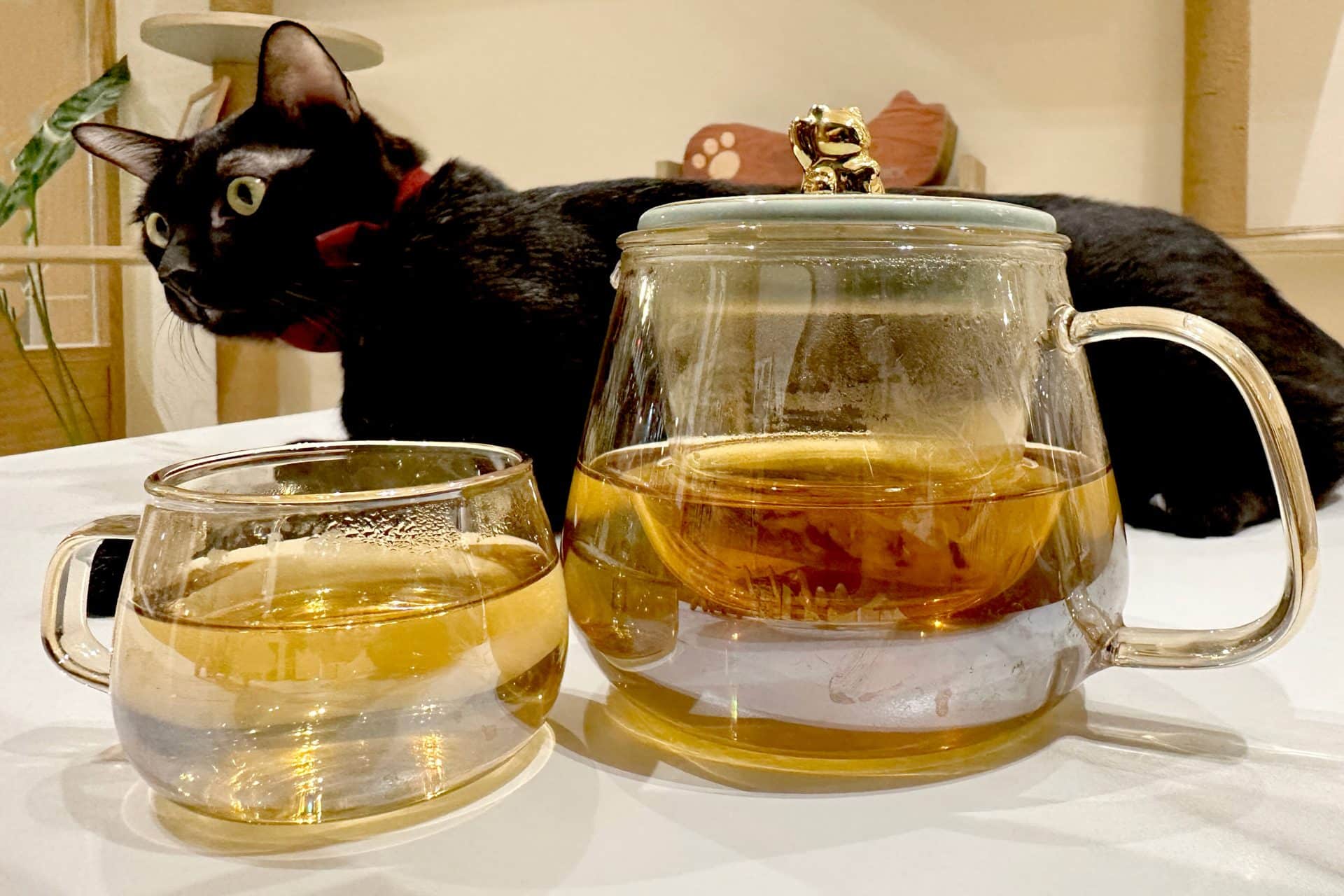 【開箱分享】七三茶堂 原葉研磨條形茶包｜顛覆傳統新風味，研磨冷泡茶香更濃