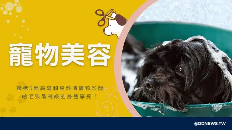 高雄寵物美容推薦｜精選5間超高評價寵物沙龍，給毛孩最高級的身體享受！