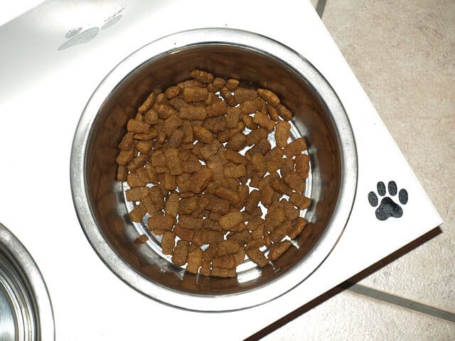狗狗長壽方法