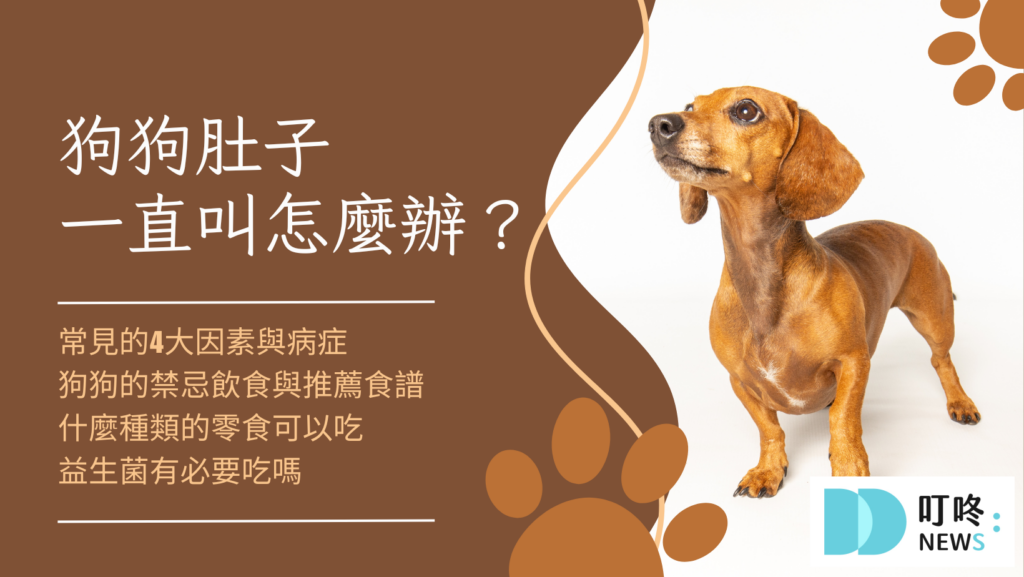 狗狗肚子一直叫怎麼辦？