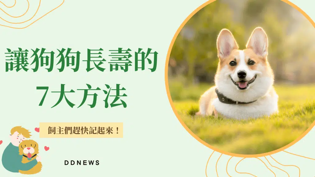 想讓毛孩陪伴你更久？7個讓狗狗長壽的方法，看看你做對了幾個！