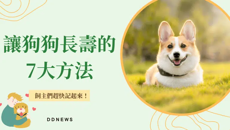 想讓毛孩陪伴你更久？7個讓狗狗長壽的方法，看看你做對了幾個！
