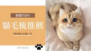 貓毛梳