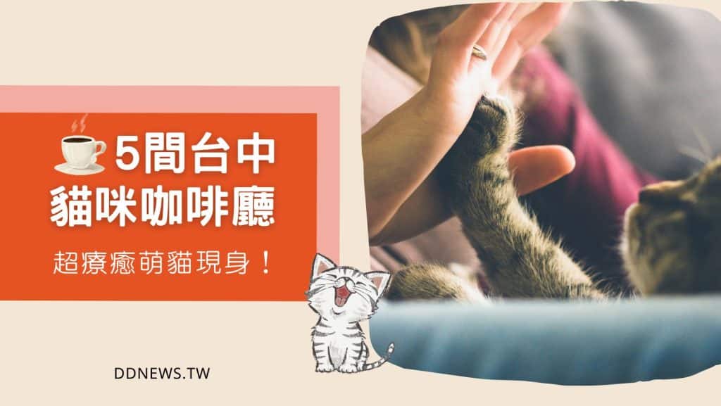 2026台中餐廳推薦|小編實地走訪測評,特色美食圖文介紹 台中貓咪咖啡廳