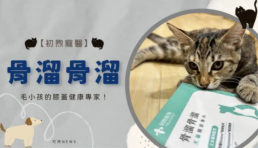 寵物照護｜初煦寵醫「骨溜骨溜」犬貓關節保健好物！毛小孩的膝蓋健康專家！