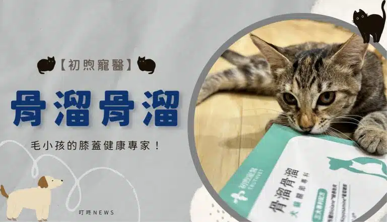 寵物照護｜初煦寵醫「骨溜骨溜」犬貓關節保健好物！毛小孩的膝蓋健康專家！