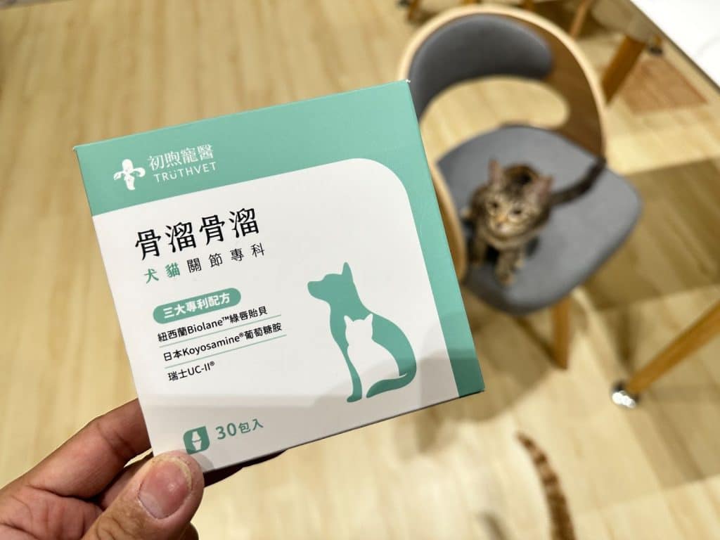 叮咚News｜分享新奇與樂趣