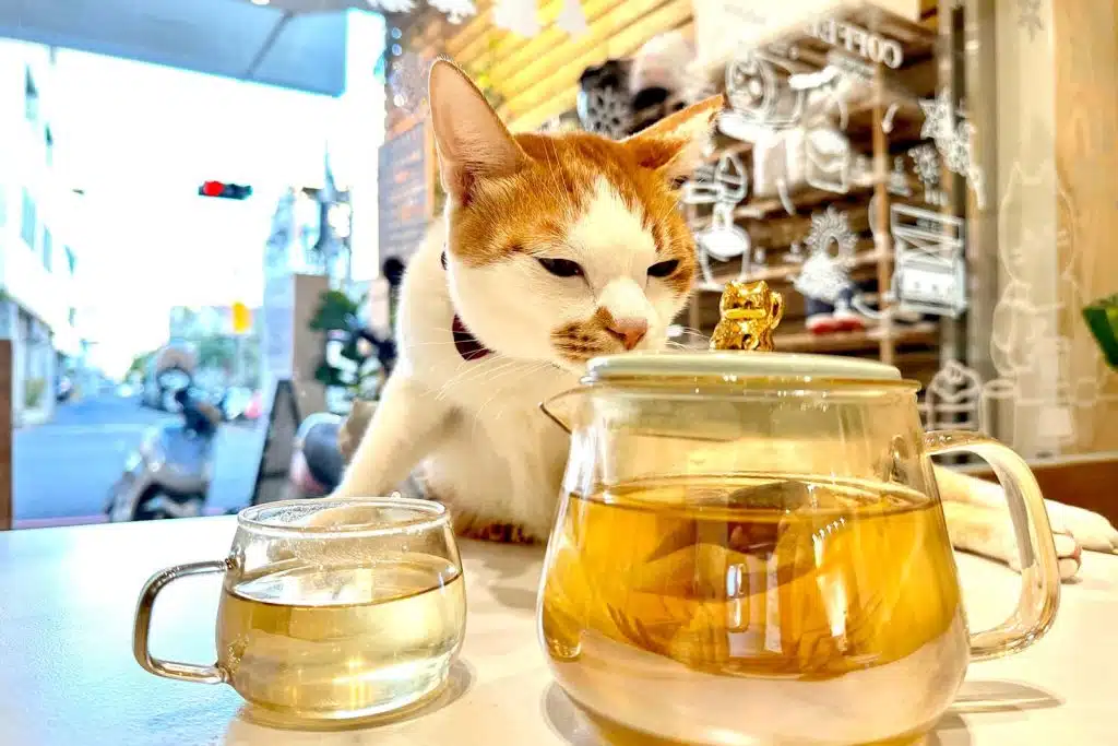 ◆ 光照堂｜草本養氣茶-2