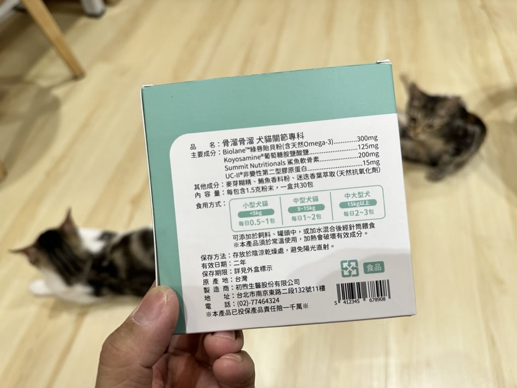 叮咚News｜分享新奇與樂趣