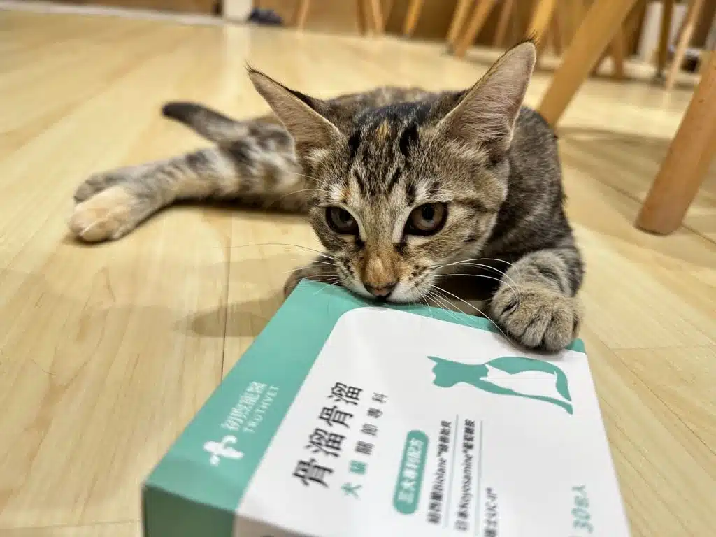 骨溜骨溜-寵物關節保健品｜優惠資訊