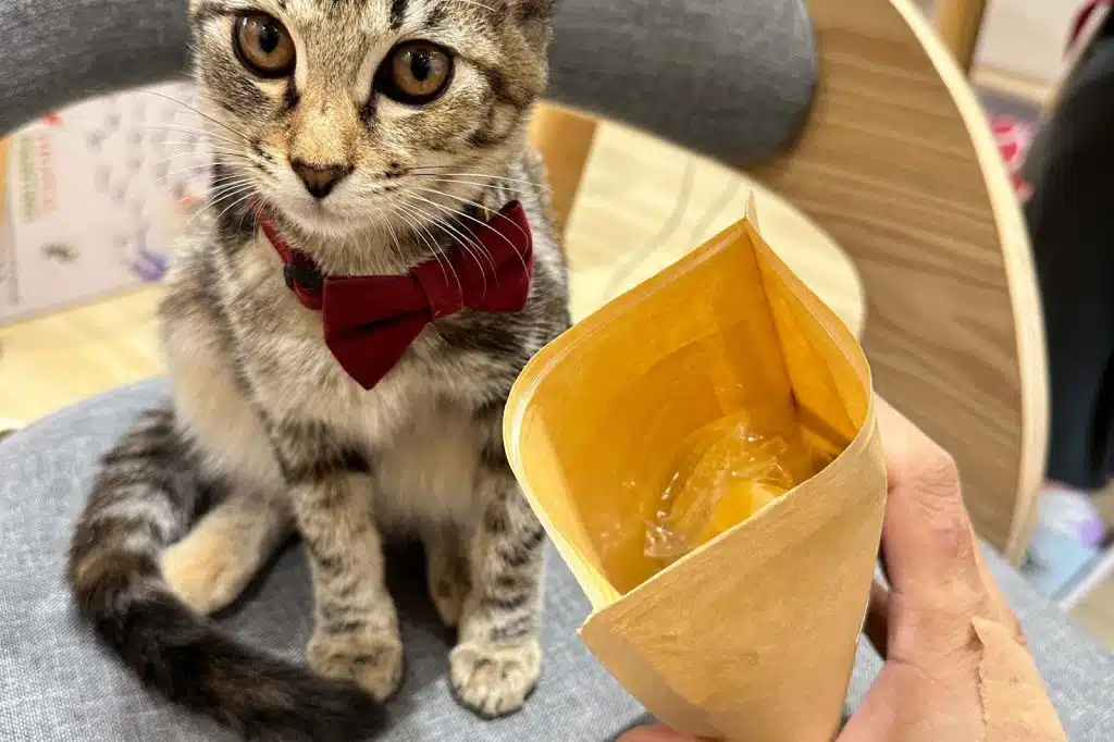 ◆ 漢方天然草本茶包裝