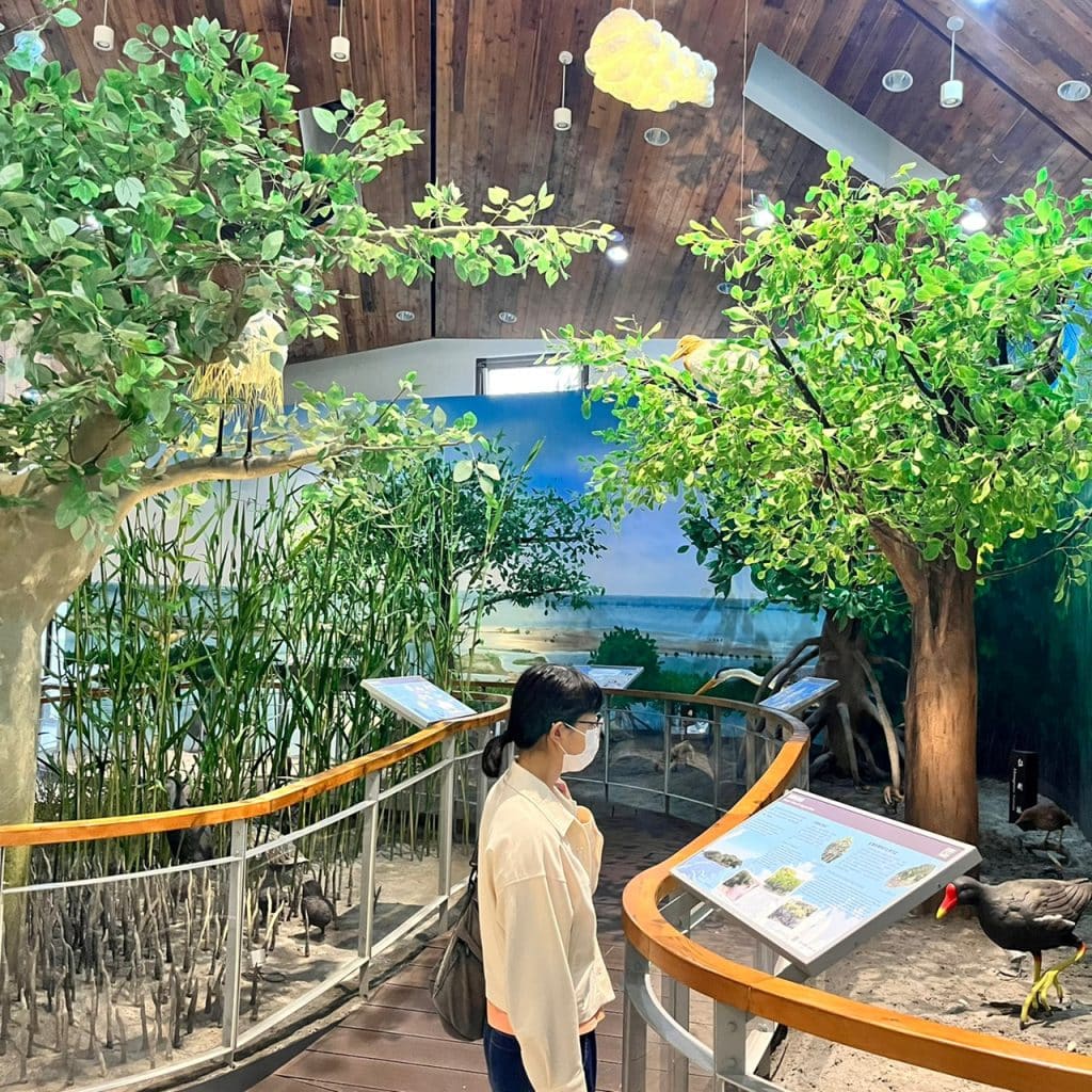 台南一日遊|古城大啖傳統南部粽、碗粿及獨特摩艾杏仁豆腐冰,細讀林百貨復古創新,再到四草拍美照! 叮咚News|分享新奇與樂趣