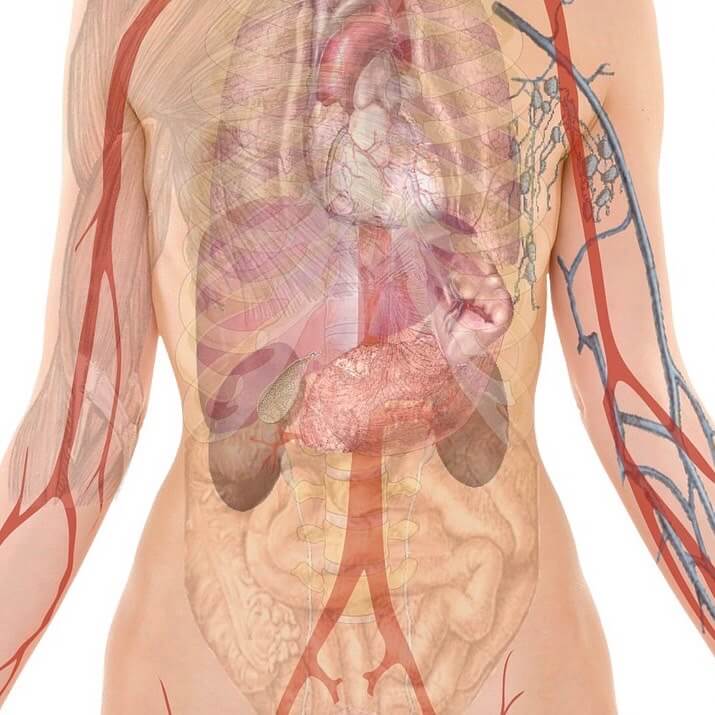 時常忽略頭痛警訊?健檢多做一樣【腦部磁振造影MRI】健康不煩「腦」! 哪些人特別需要做MRI?