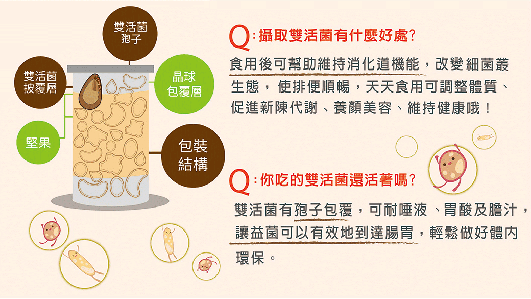 雙活菌堅果