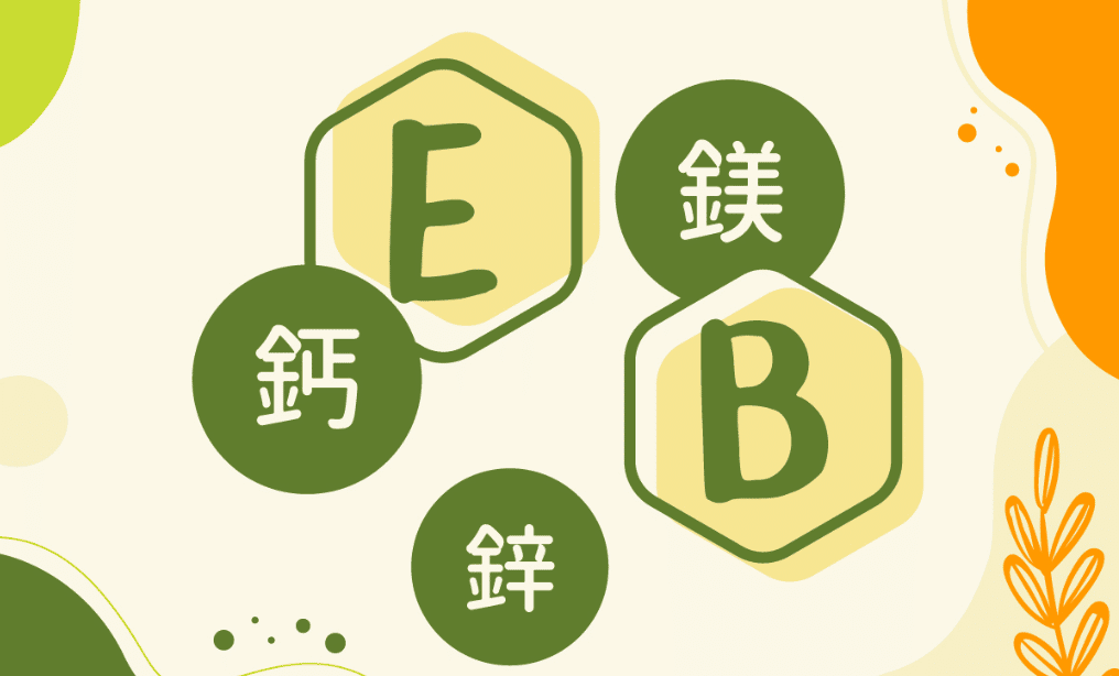 好處一 : 補充營養素 EB鎂鈣鋅
