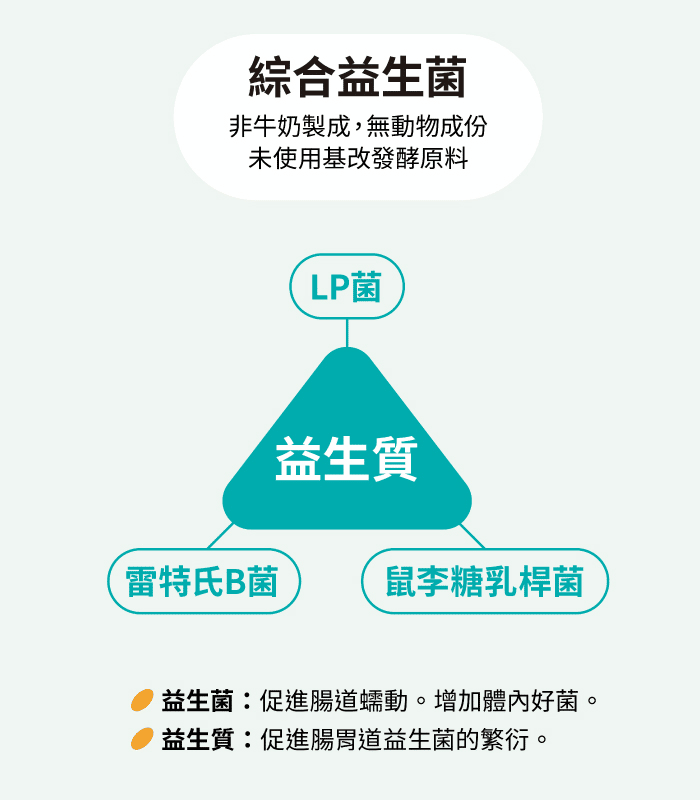 叮咚News｜分享新奇與樂趣