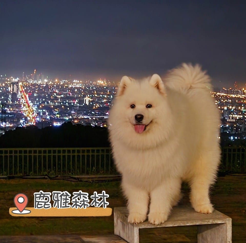 台中景點推薦!2026 台中一日遊去哪玩? 叮咚News|分享新奇與樂趣