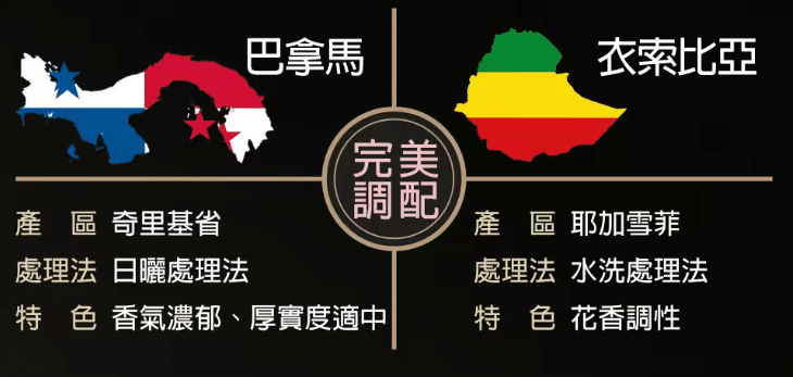 叮咚News｜分享新奇與樂趣
