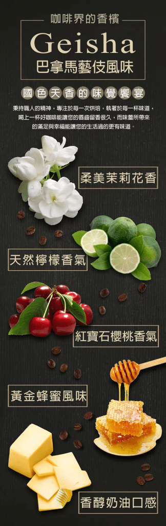 叮咚News｜分享新奇與樂趣