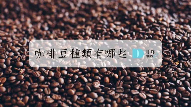 咖啡豆種類有哪些?