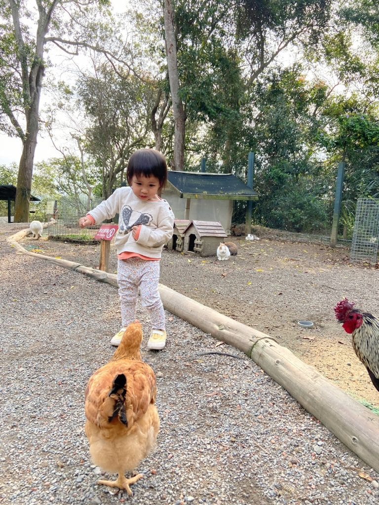 叮咚News｜分享新奇與樂趣
